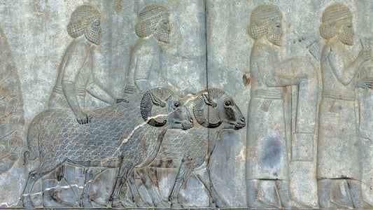 Misharum | A Sovereign's Rule To Rectifying Problematic Situations And Making Things Right